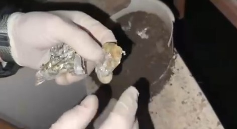 Sakarya'da narkotik ekiplerinden operasyon