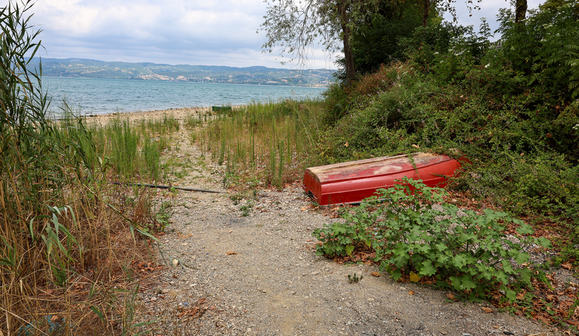Sakarya'da park, bahçe, tarımsal sulama, havuz doldurmak yasaklanıyor