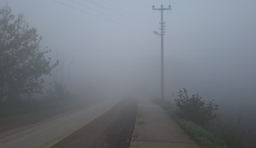 sakarya-da-sisv2phk2pzk2