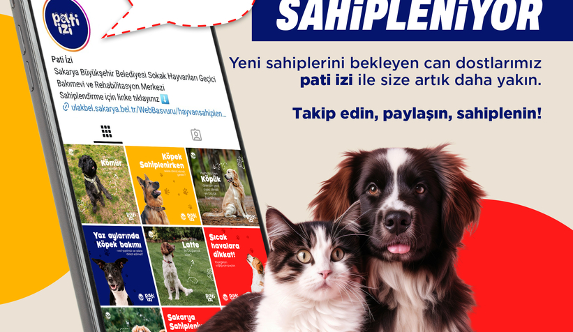 Sakarya'da sokak hayvanları için sahiplendirme kampanyası