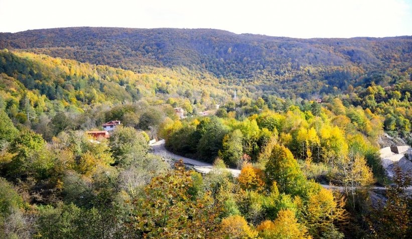 Sakarya'da son bahar güzelliği yaşanıyor