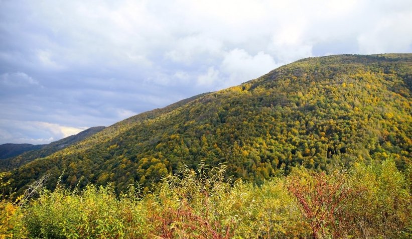 Sakarya'da son bahar güzelliği yaşanıyor