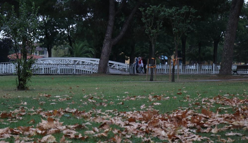 Sakarya'da sonbahar manzarası
