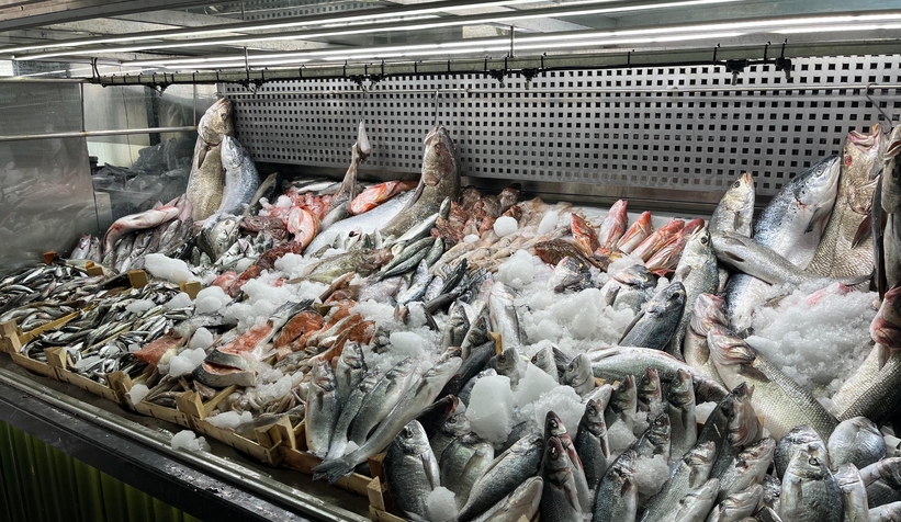 Sakarya'da taze tüm balık çeşitleri Balıkçı Hüseyin'de