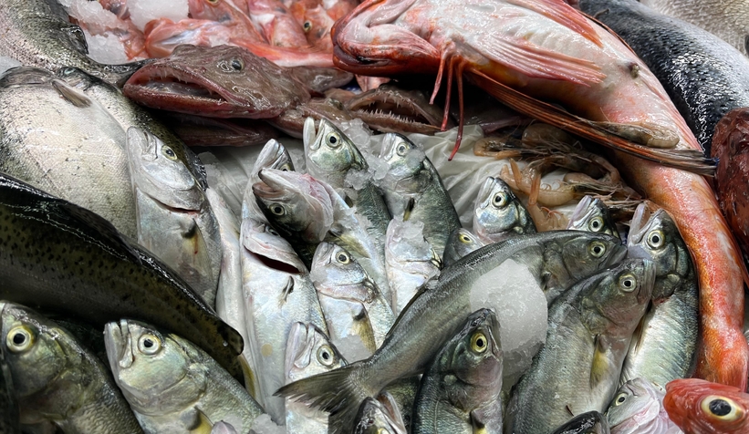 Sakarya'da taze tüm balık çeşitleri Balıkçı Hüseyin'de