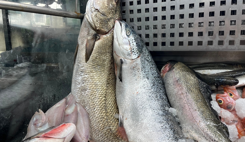 Sakarya'da taze tüm balık çeşitleri Balıkçı Hüseyin'de