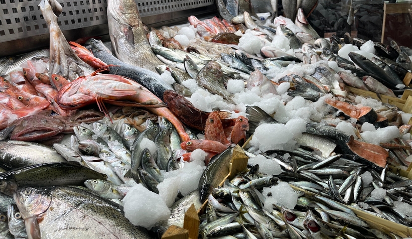 Sakarya'da taze tüm balık çeşitleri Balıkçı Hüseyin'de