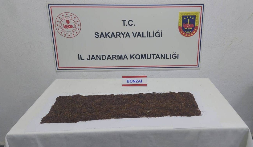 sakarya-da-uyusturucu-operasyonlariavbfduvwtg