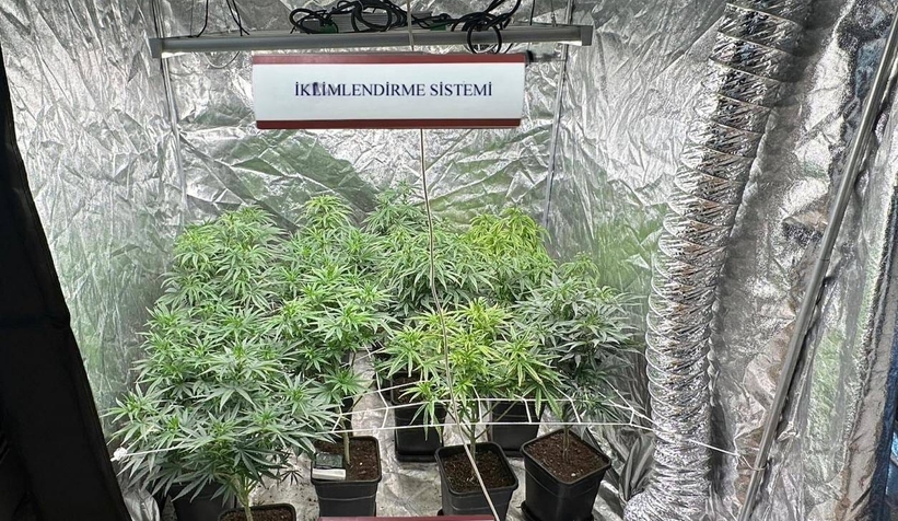 Sakarya'da uyuşturucu operasyonları