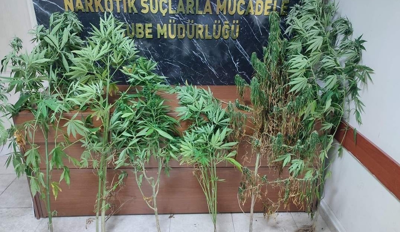 Sakarya'da uyuşturucu operasyonları