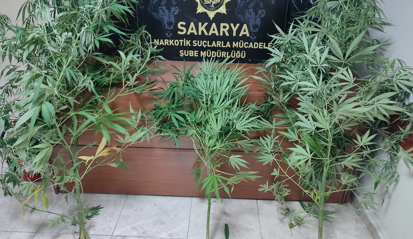 Sakarya'da uyuşturucu operasyonlarında 88 kişi yakalandı