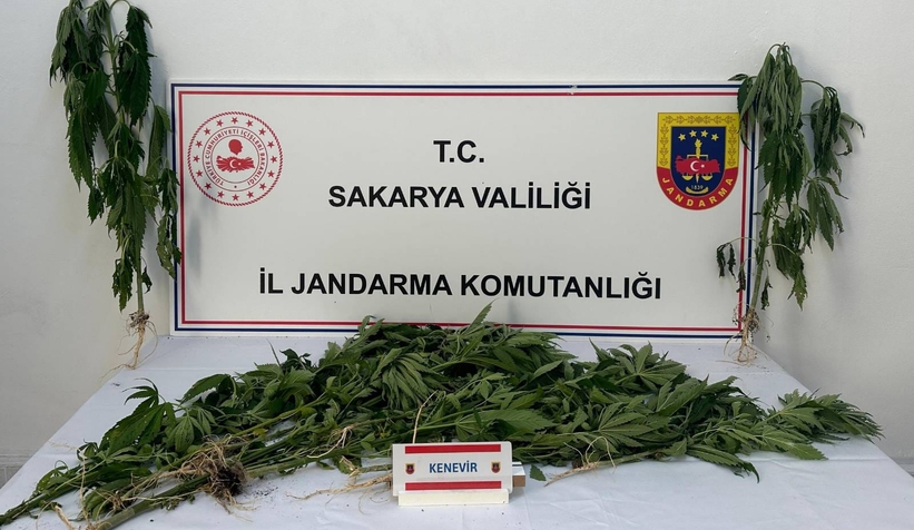 sakarya-da-uyusturucu-operasyonuqw56a2xjel