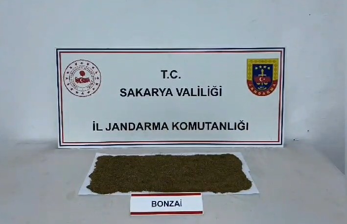 sakarya-da-uyusturucu-ve-kacakcilik-operasyonlarimg1eafnwt0
