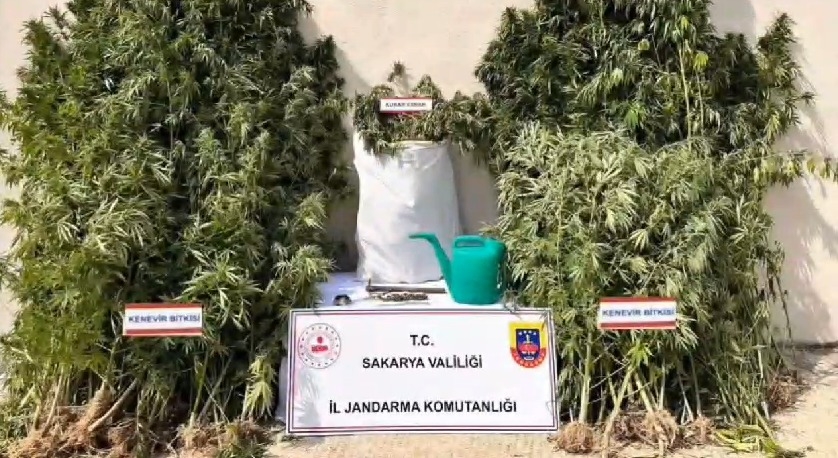 sakarya-da-uyusturucu-ve-kacakcilik-operasyonlarimg1eafnwt0