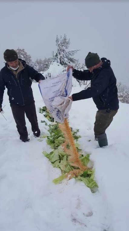 Sakarya'da yaban hayvanlarına yiyecek bırakıldı