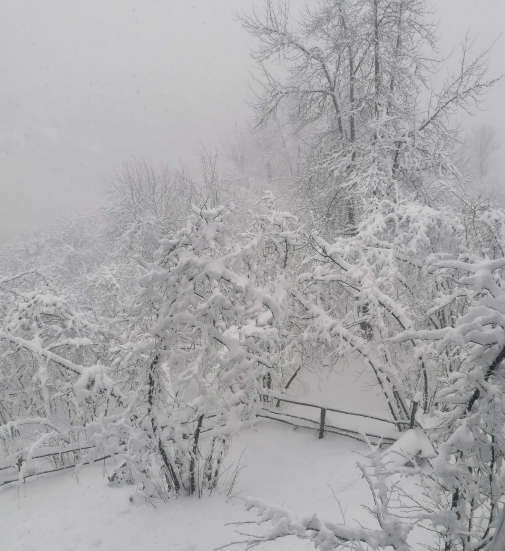 Sakarya'da yüksek kesimlerde kar etkili oluyor