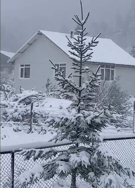 sakarya-da-yuksek-kesimlerde-kar-yagisi-suruyormkzjwlnzlz