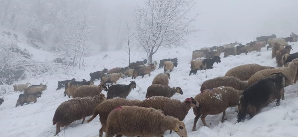 sakarya-da-yuksek-kesimlere-kar-yagdiazb4c0lqnc