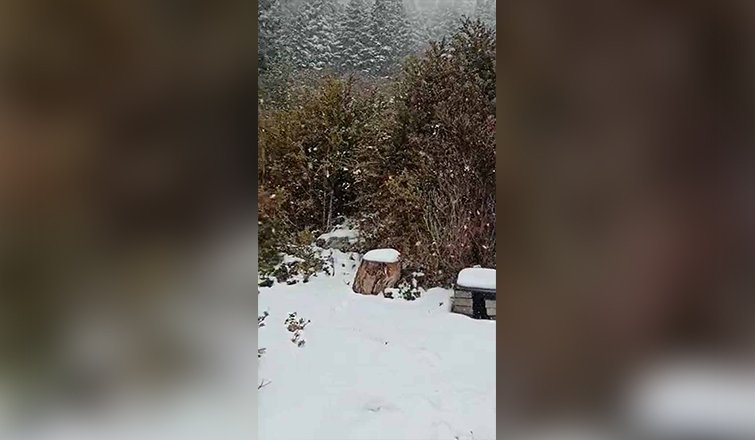 Sakarya'da yüksek kesimlere kar yağdı