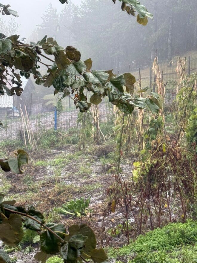 Sakarya'da yükseklere kar yağdı