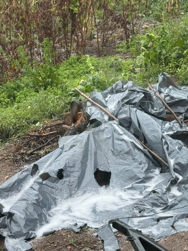 Sakarya'da yükseklere kar yağdı