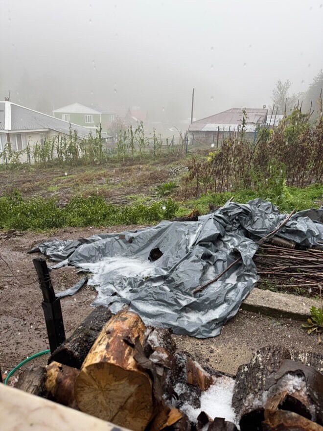 Sakarya'da yükseklere kar yağdı