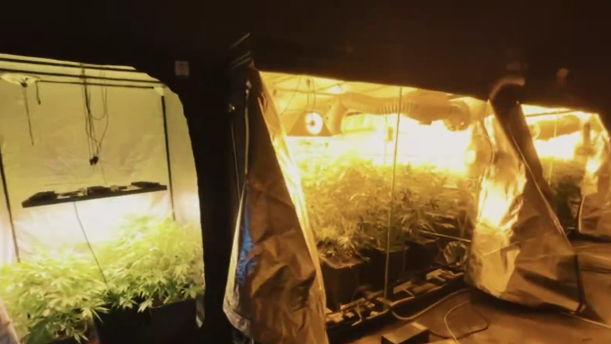 Sakarya dahil 23 şehirde operasyon