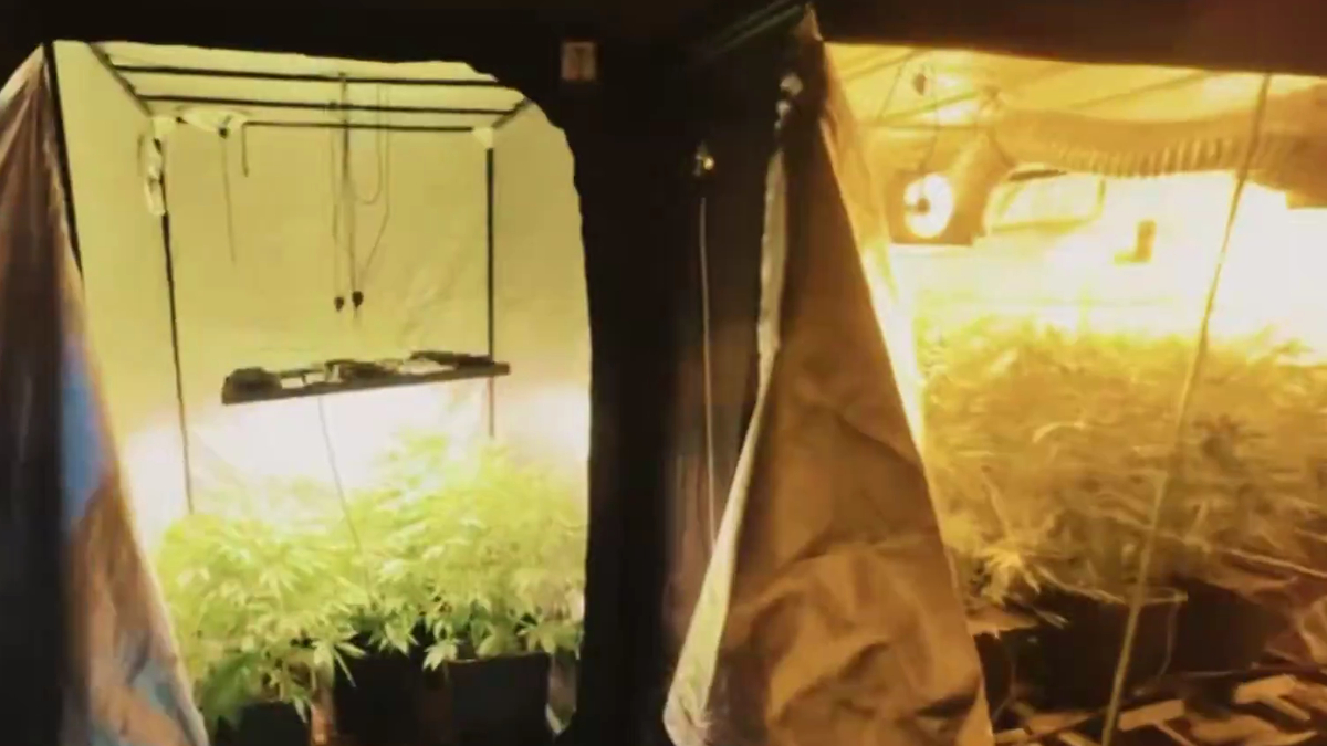 Sakarya dahil 23 şehirde operasyon