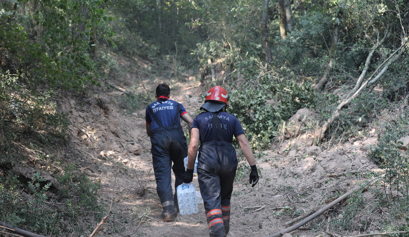 Sakarya'daki 3 yangından ikisi kontrol altında