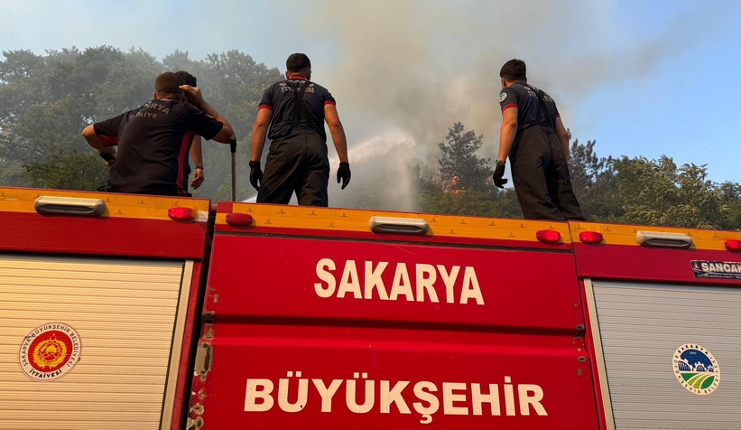 Sakarya'daki 3 yangından ikisi kontrol altında