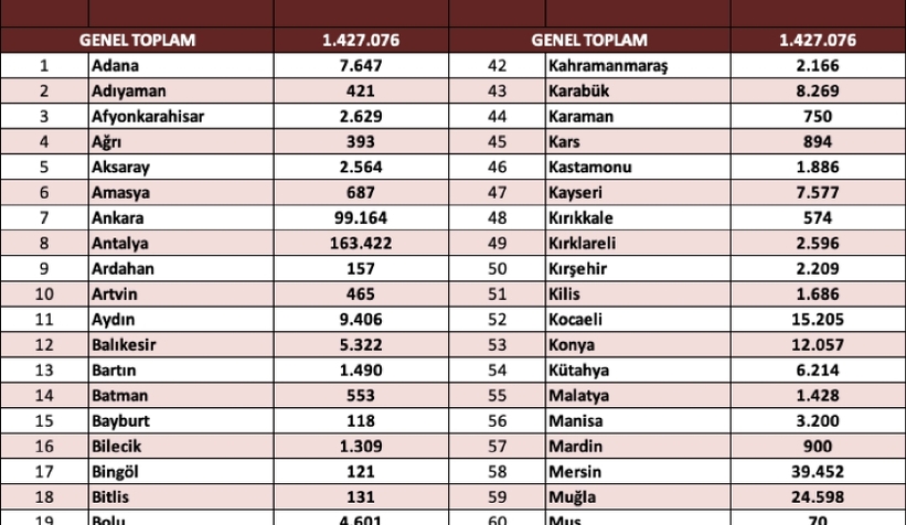 Sakarya'daki yabancı sayısı açıklandı
