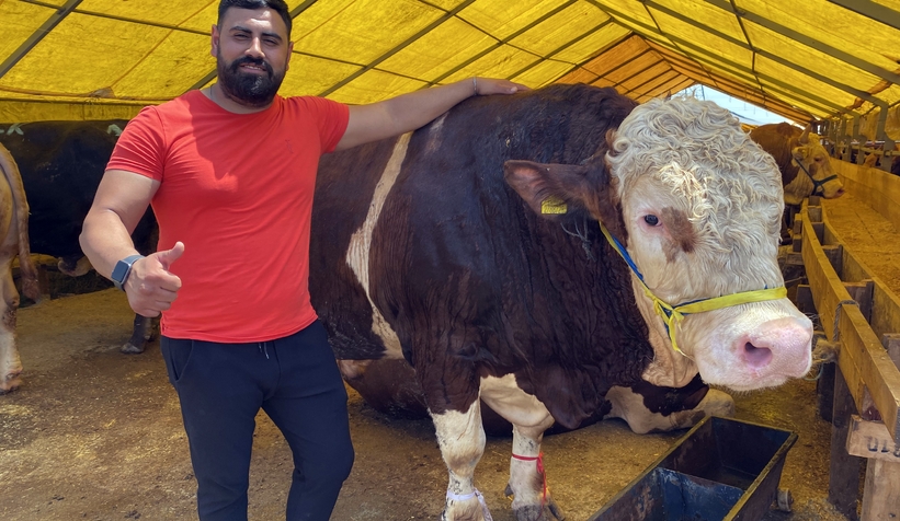 sakarya-dan-goturdugu-bogasini-280-bin-liraya-satiyorqytlzgiydf