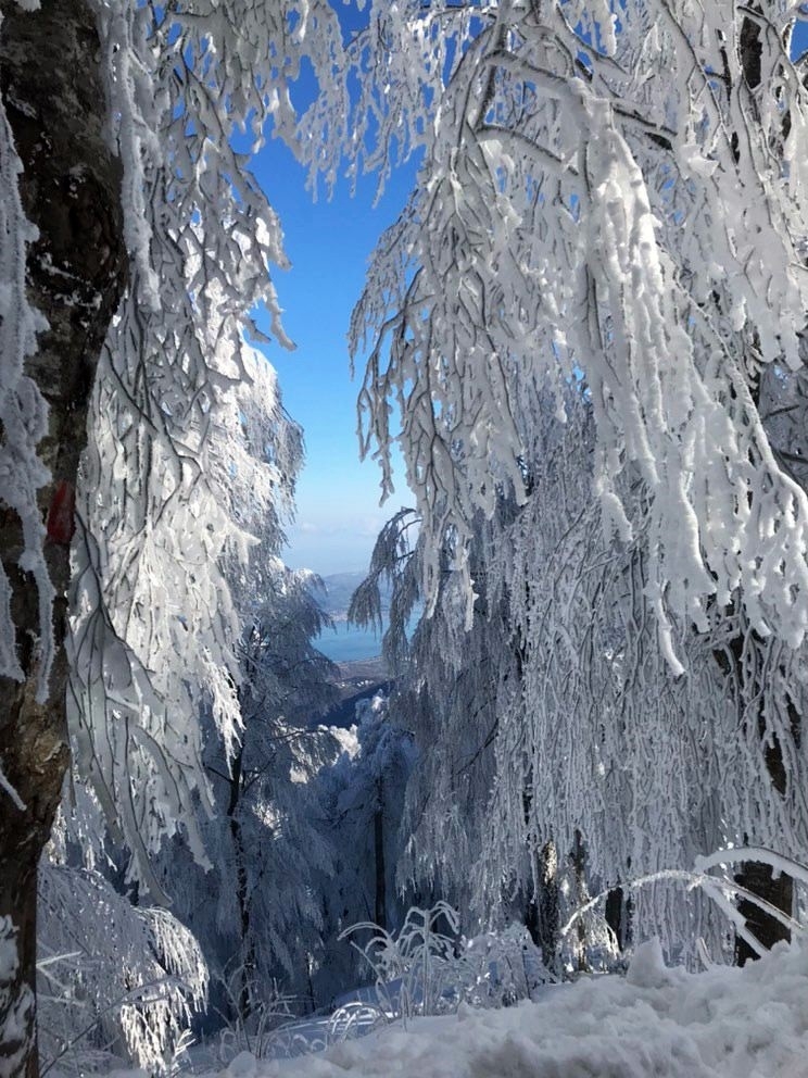 sakarya-dan-kar-fotograflariqwnoek0wsv