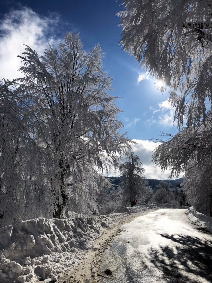 sakarya-dan-kar-fotograflariqwnoek0wsv