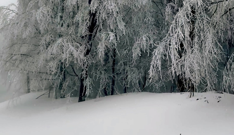 sakarya-dan-kar-fotograflariqwnoek0wsv