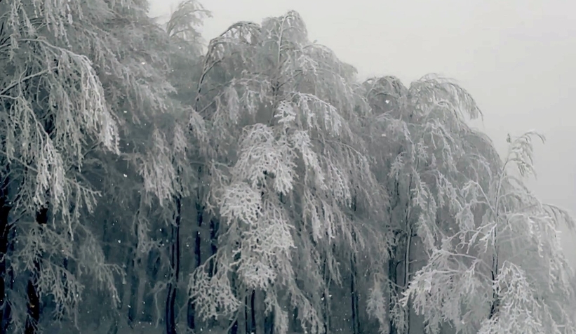 sakarya-dan-kar-fotograflariqwnoek0wsv