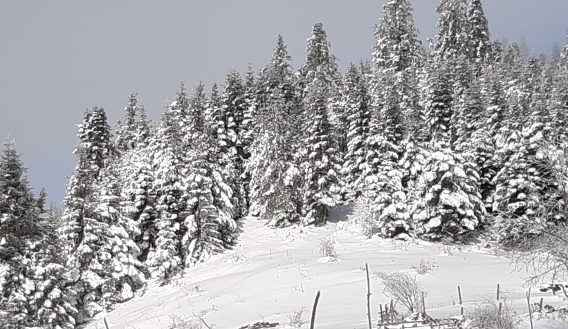 sakarya-dan-kar-fotograflariqwnoek0wsv