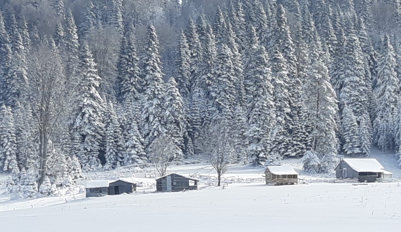 sakarya-dan-kar-fotograflariqwnoek0wsv