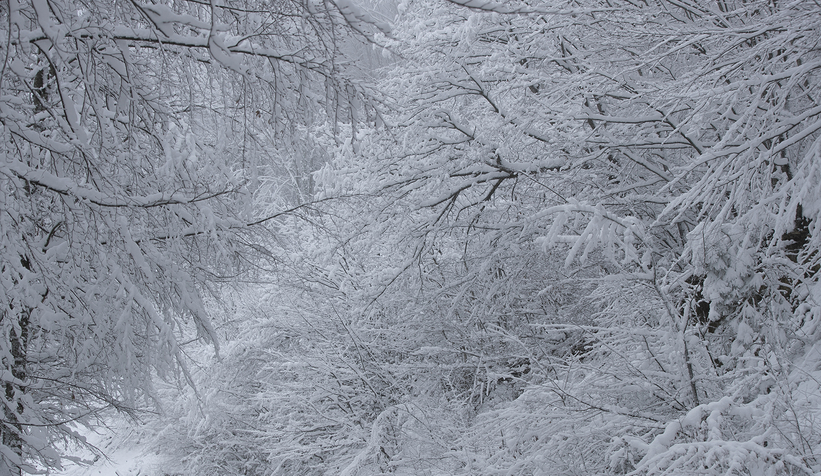 sakarya-dan-kar-fotograflariwfjfwvm1dt