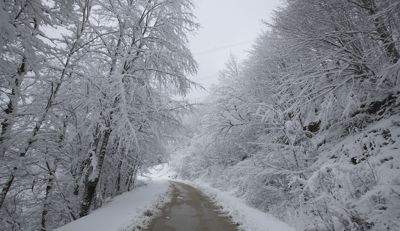 sakarya-dan-kar-fotograflariwfjfwvm1dt