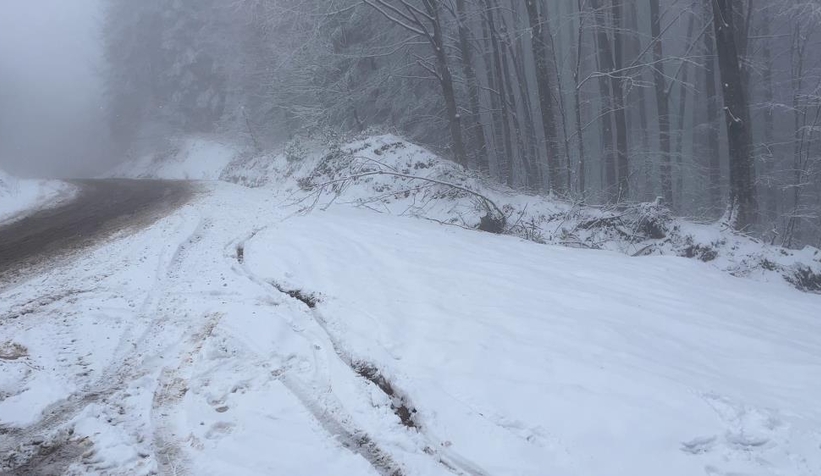Sakarya'dan kar kareleri