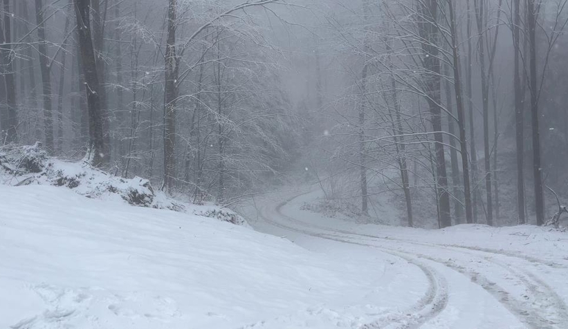 Sakarya'dan kar kareleri