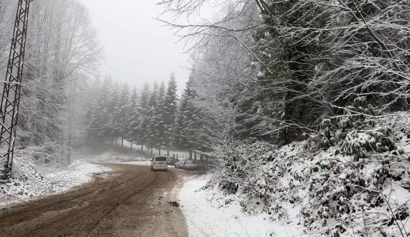 Sakarya'dan kar kareleri
