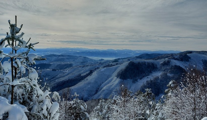 Sakarya'dan kar manzaraları