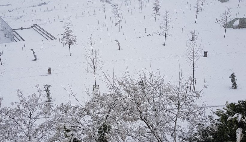 Sakarya'dan kar manzaraları