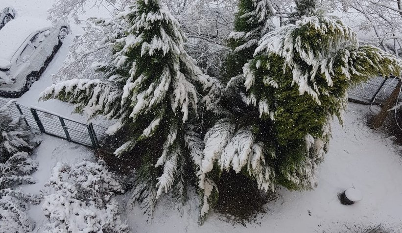 Sakarya'dan kar manzaraları
