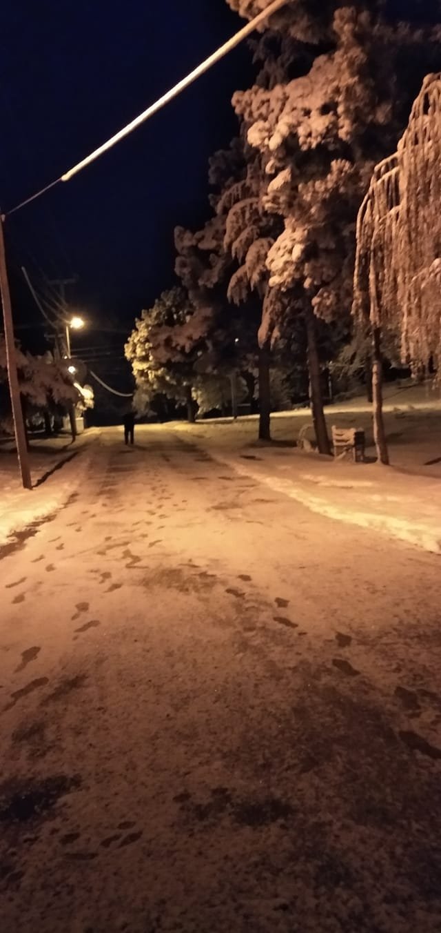 Sakarya'dan kar manzaraları