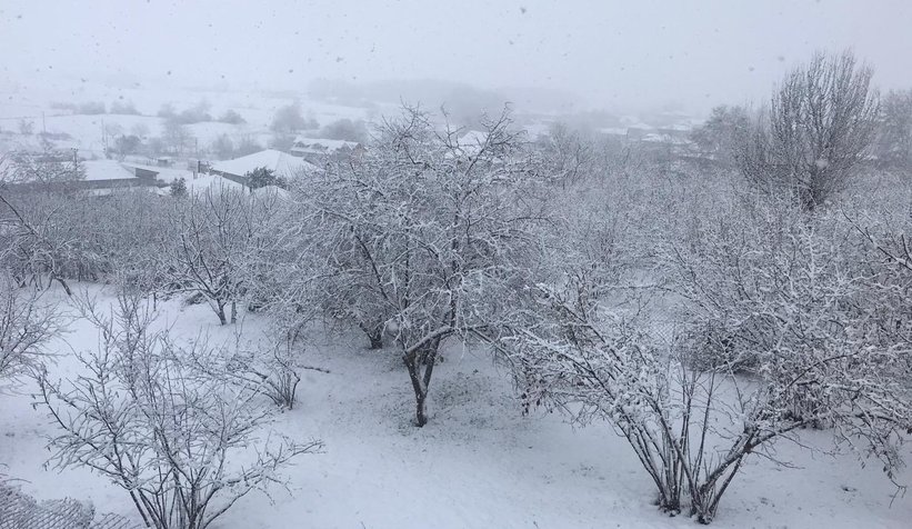 Sakarya'dan kar manzaraları