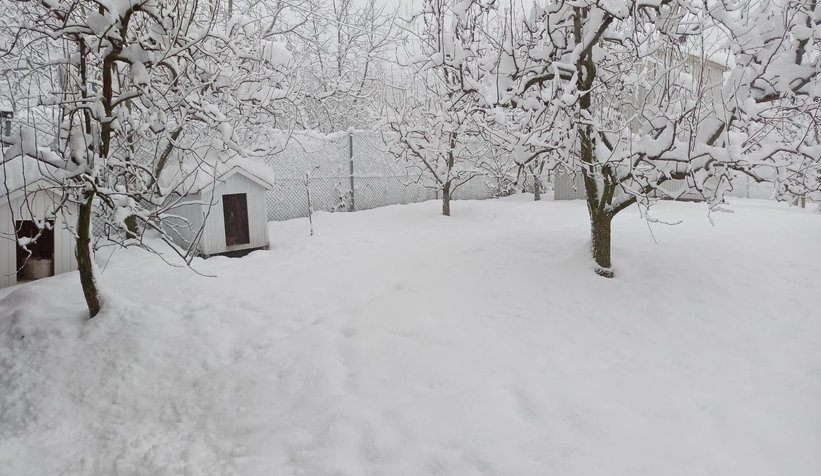 Sakarya'dan kar manzaraları