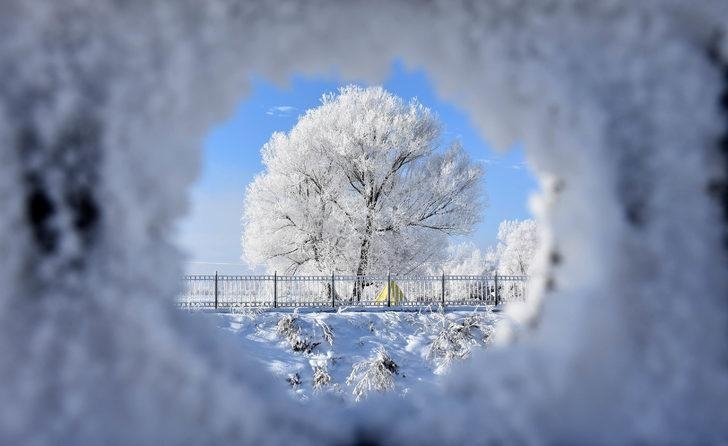 Sakarya dondu; O mahalle eksi 11,5'u gördü
